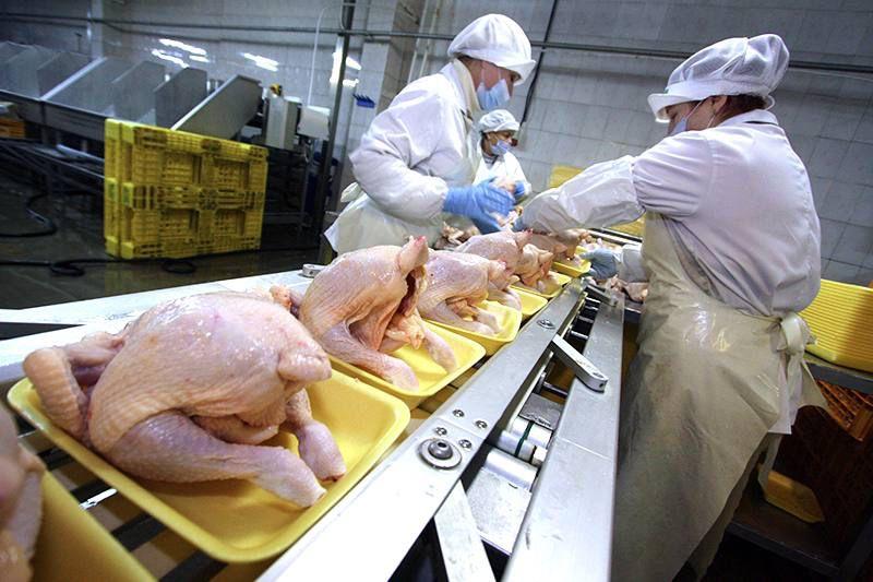 В пять раз увеличился экспорт мяса птицы в Грузию с начала 2024 года
