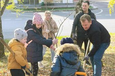 Иван Ульянченко принял участие в высадке деревьев