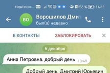 Кадр из телеграм-канала Дмитрия Ворошилова