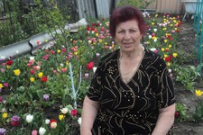 Амаля Сагомоновна Сивцова, ул. Щорса, 56. На своей усадьбе вырастила 3 тысячи красивейших тюльпанов.