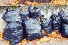 Мешки с опавшей листвой. Фото минЖКХ СК