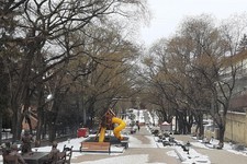 Кисловодск, проспект Ленина. Фото администрации Кисловодска