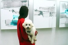 Дама с собачкой на выставке.