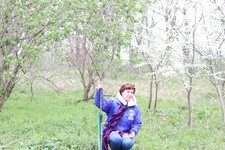Высадка деревьев в Ставрополе в прошлые годы