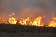 Из-за пожара в селе Чернолесском взорвался газовый баллон